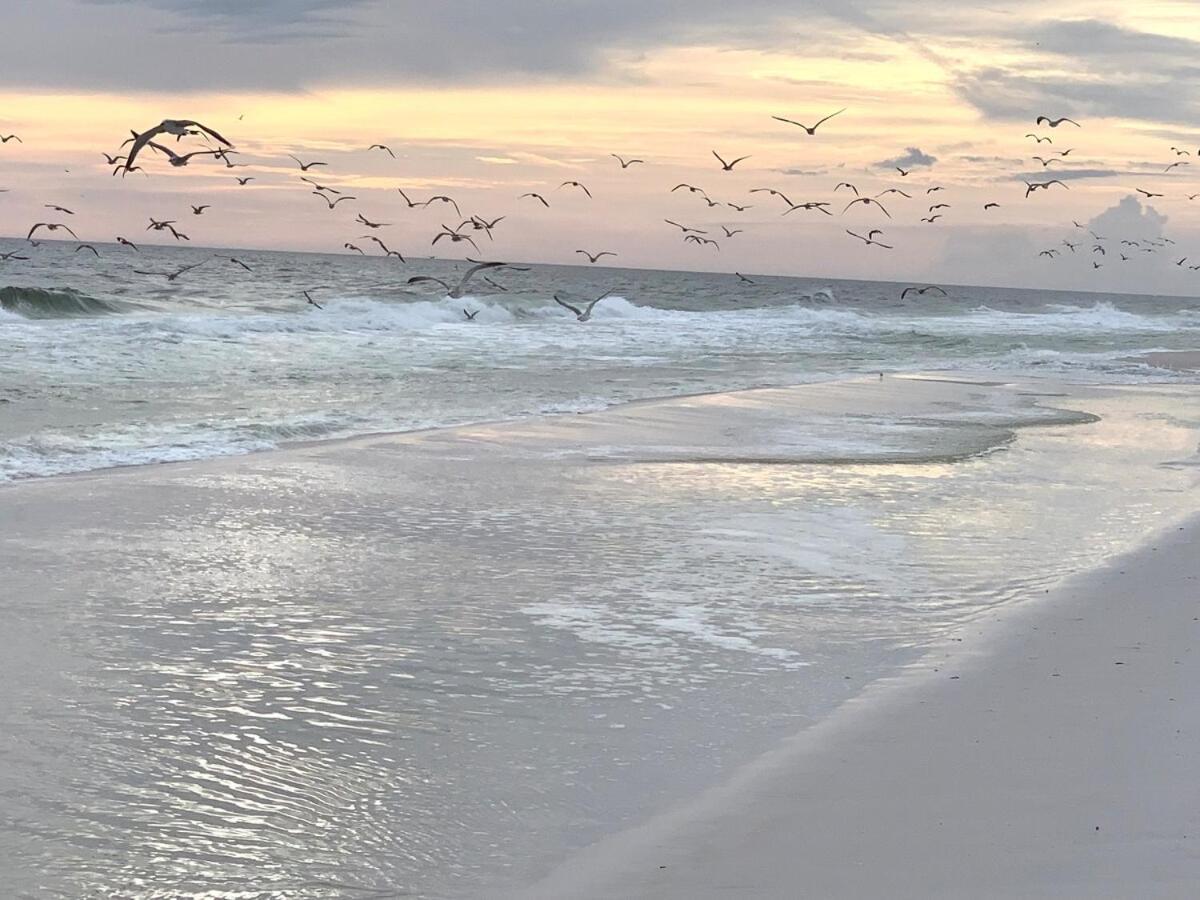 Brand New, Steps To Beach, Gulf Views, Heated Pool Holiday home